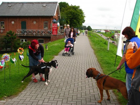 Potkal jsem kamarádku